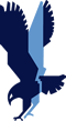 Hawk Website Logo