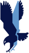 Hawk Training Logo - Hawk Only