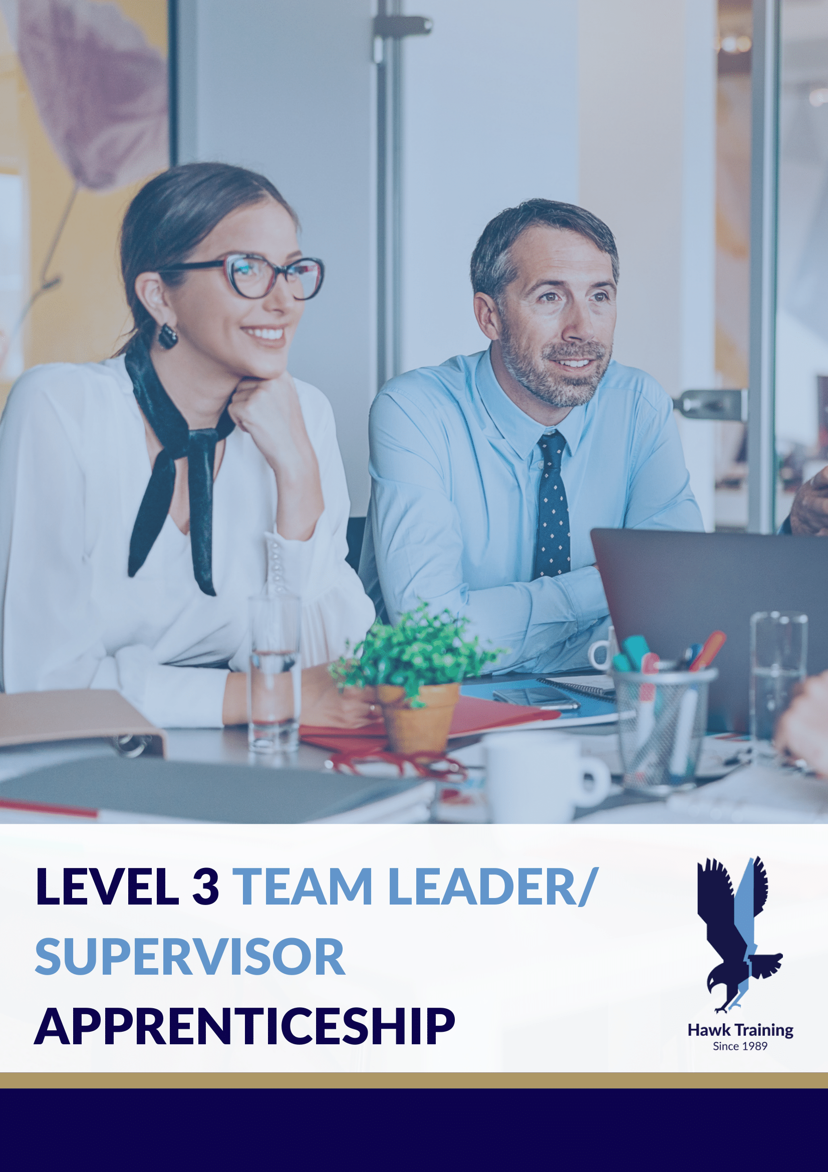Level 3 Team Leader Supervisor Apprenticeship Programme Guide-1