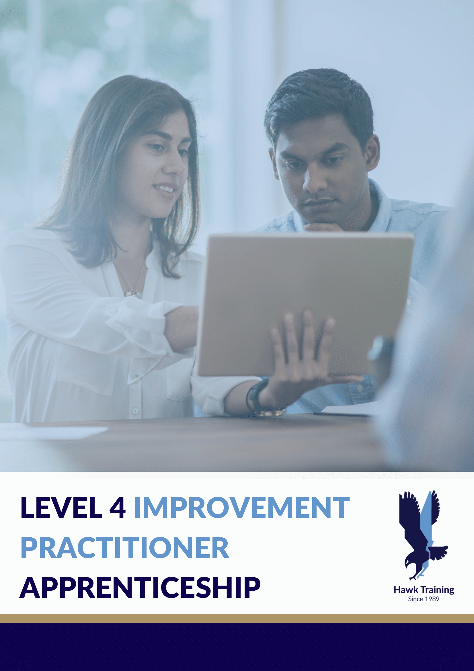 Level 4 Improvement Practitioner Apprenticeship Programme Guide-1