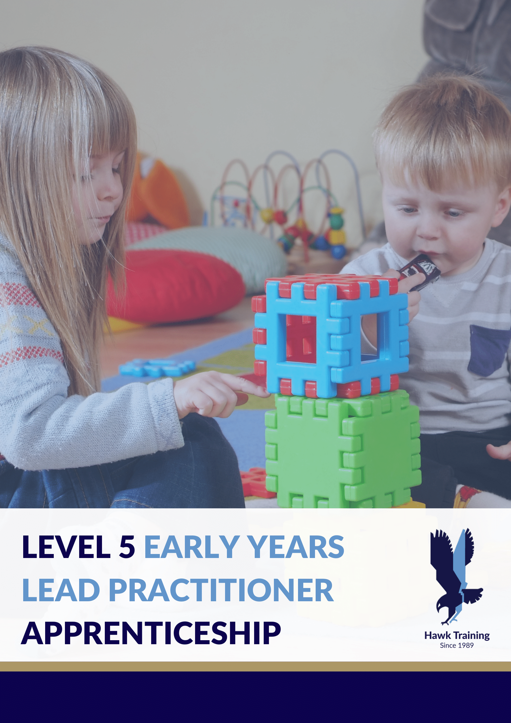 Level 5 Early Years Lead Practitioner Apprenticeship Programme