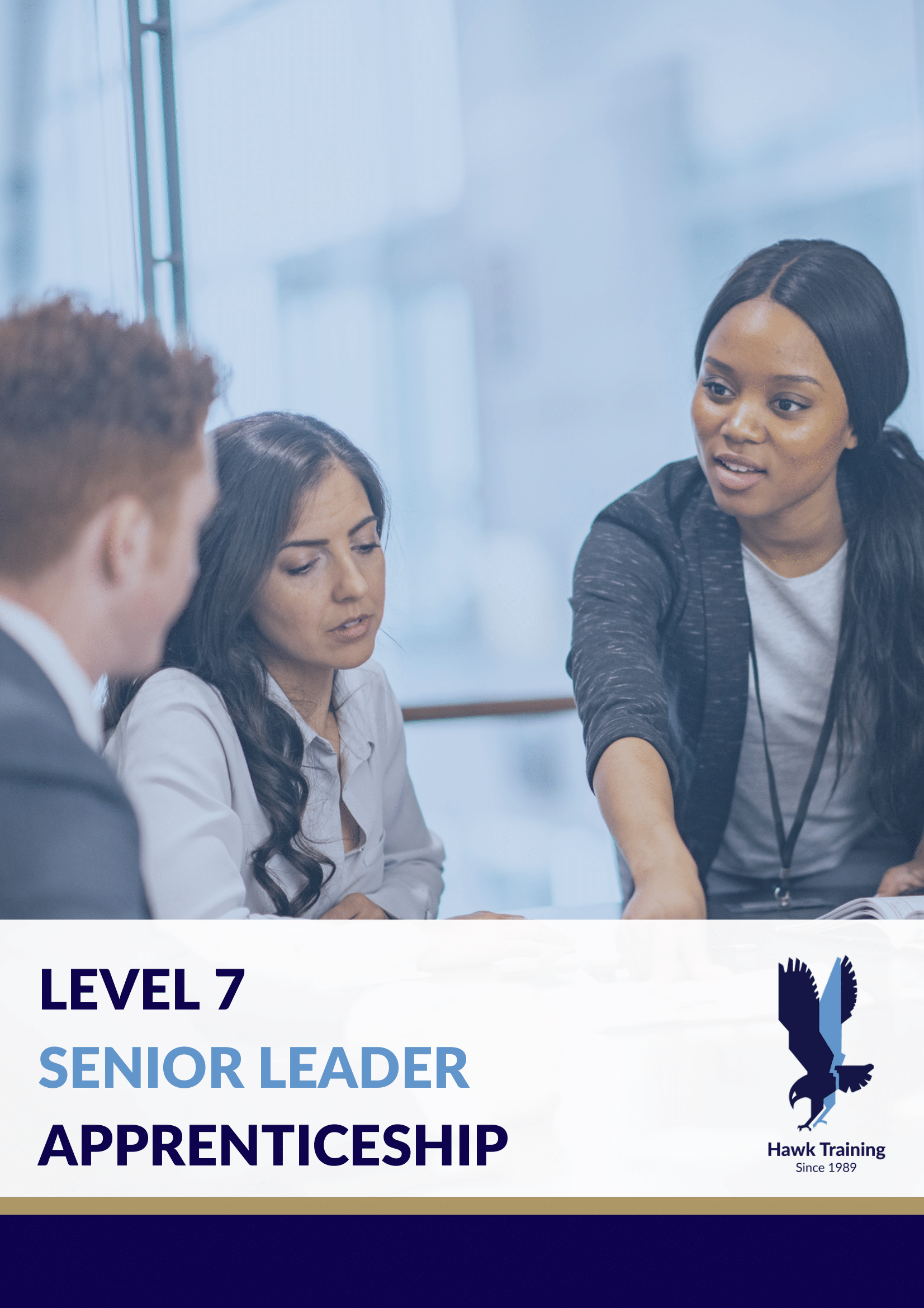 Level 7 Senior Leader Apprenticeship Programme Guide-1